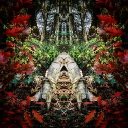 Sleeping Eskimo Poster