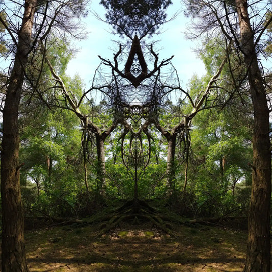 Queen of Pines Poster