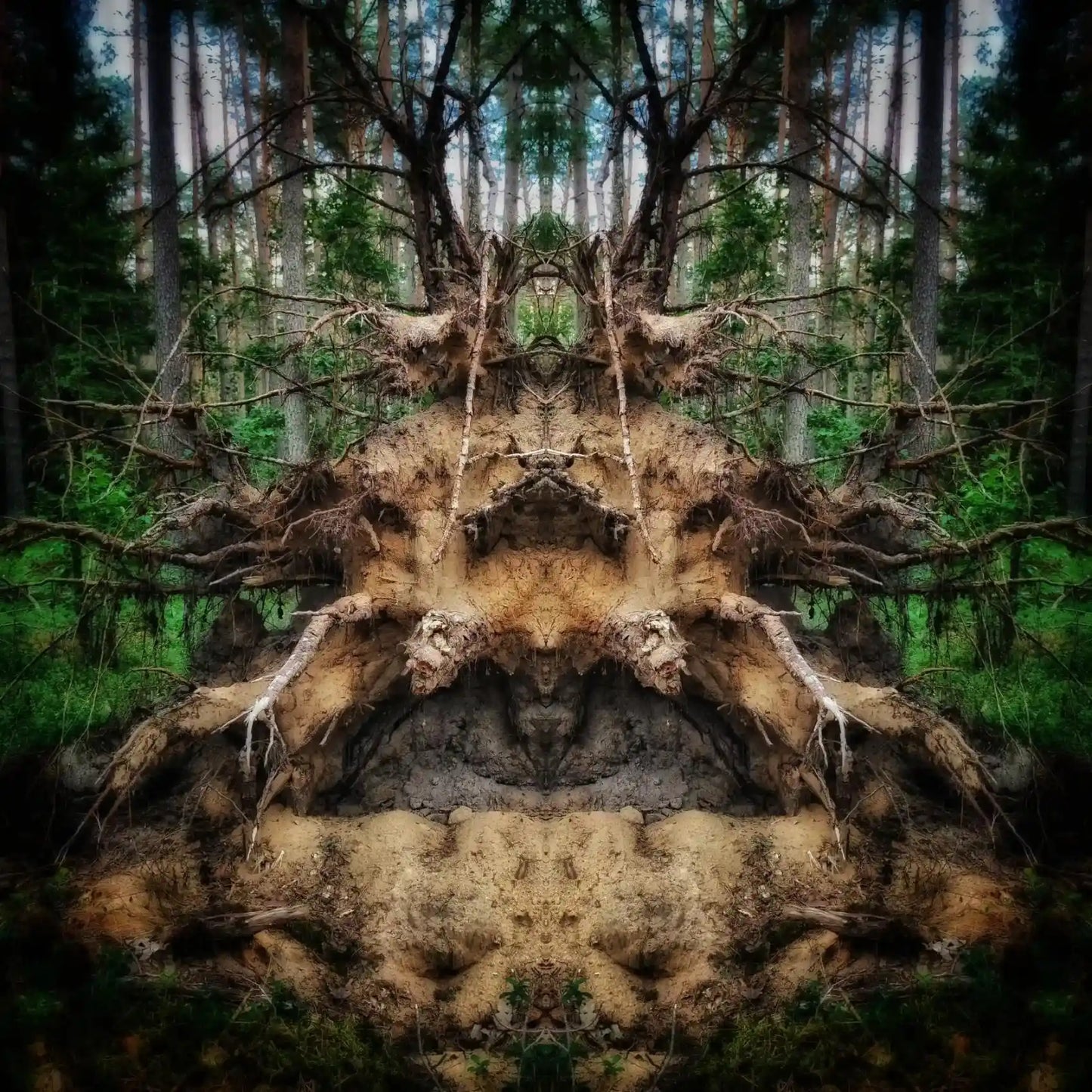 Root Guardian Poster