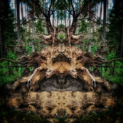 Root Guardian Poster