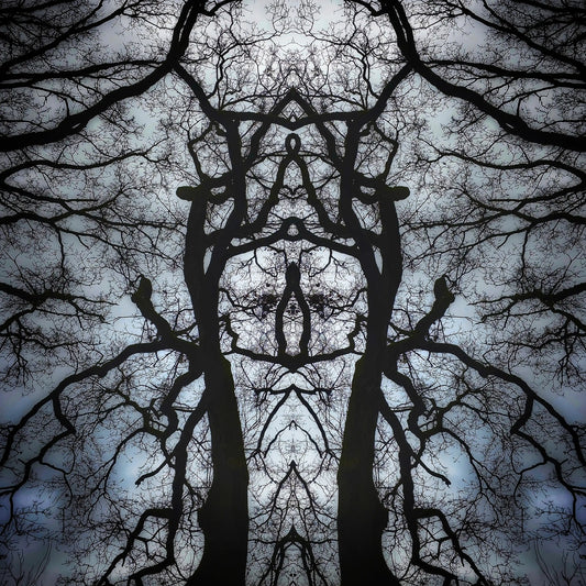 Shadow Sentinel Poster