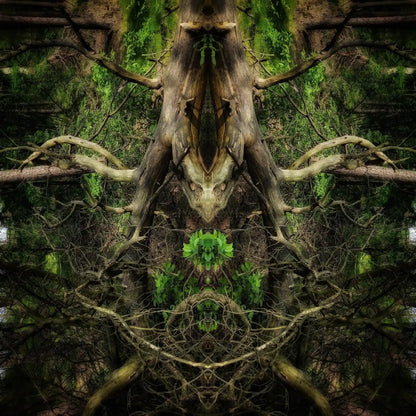 Vengard Guardian Poster