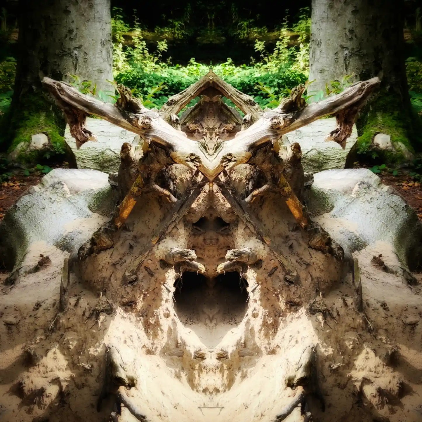 The Stump Viking Poster