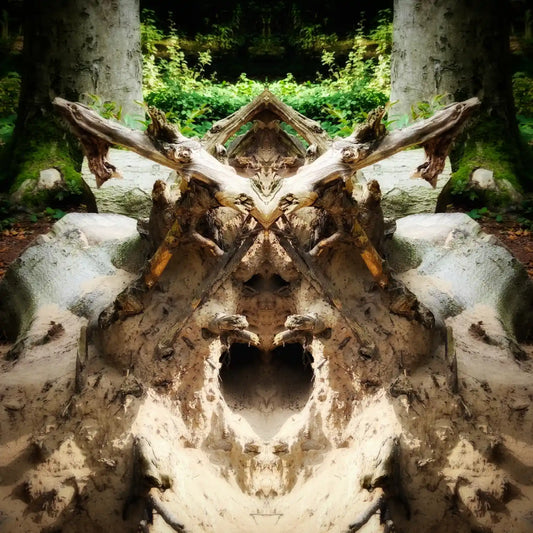 The Stump Viking Poster